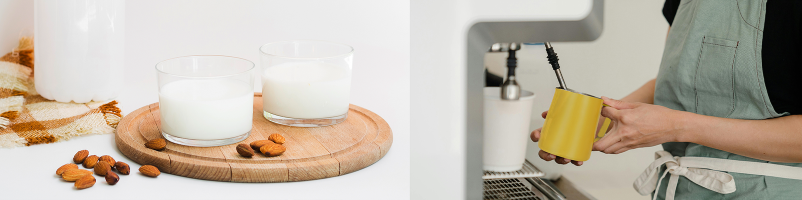How To Guide: Alternative Milks