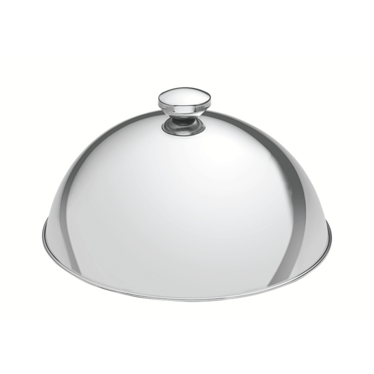 Professional Stainless Steel Cloche 245mm