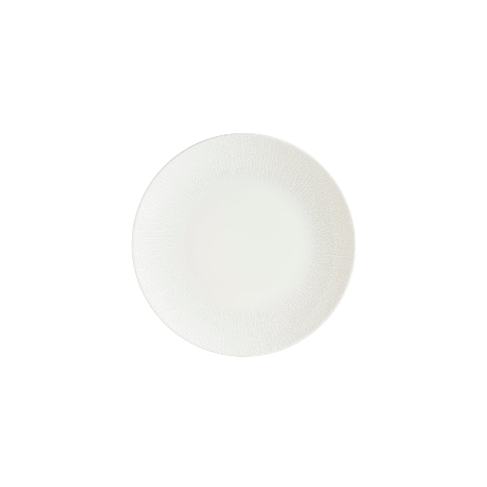 Radix Gourmet Coupe Plate 150mm