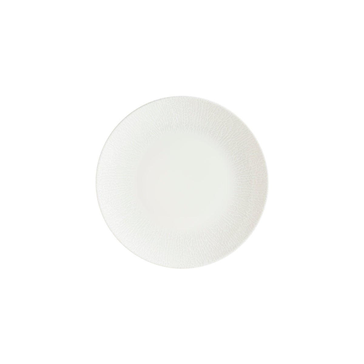 Radix Gourmet Coupe Plate 250mm