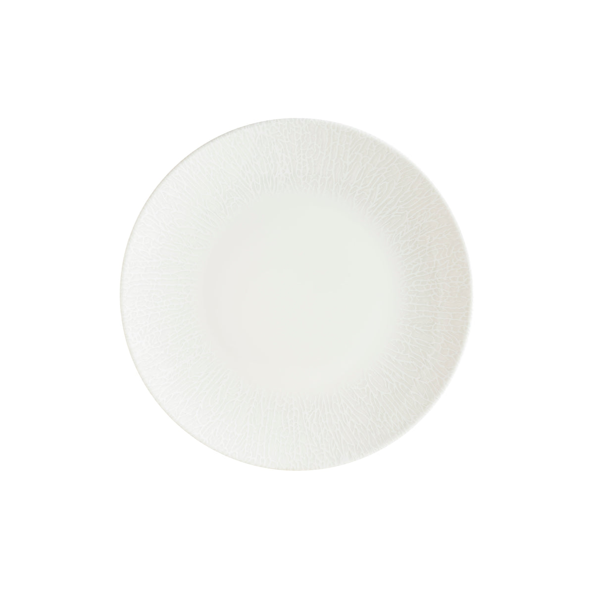 Radix Gourmet Coupe Plate 270mm