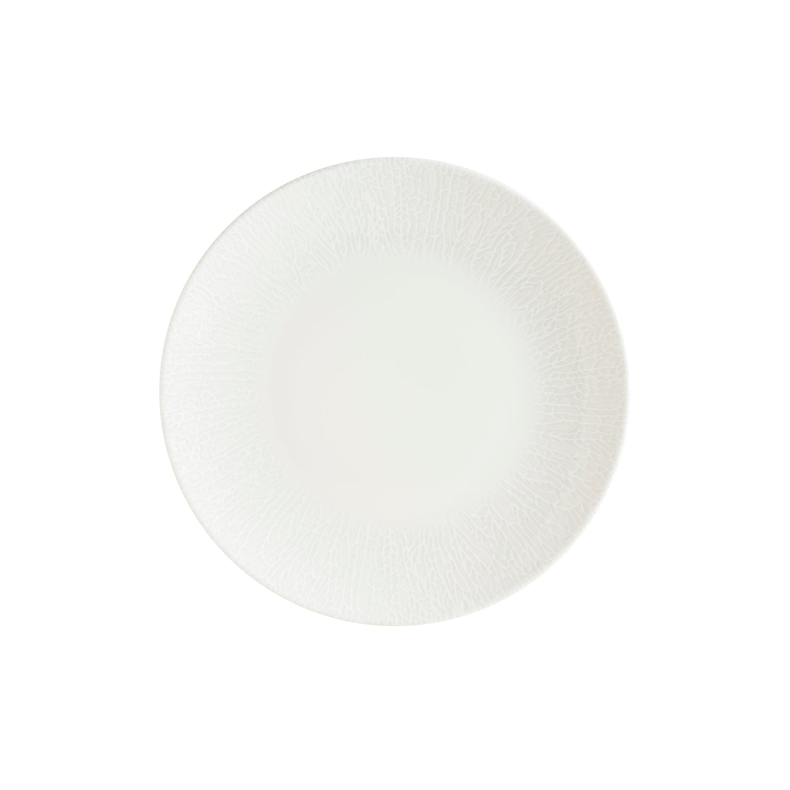 Radix Gourmet Coupe Plate 270mm