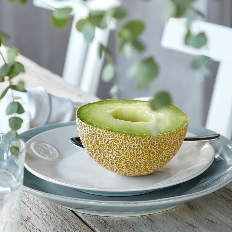 301233 Costa Nova Nova White Round Plate 211x31mm  Tomkin Australia Hospitality Supplies