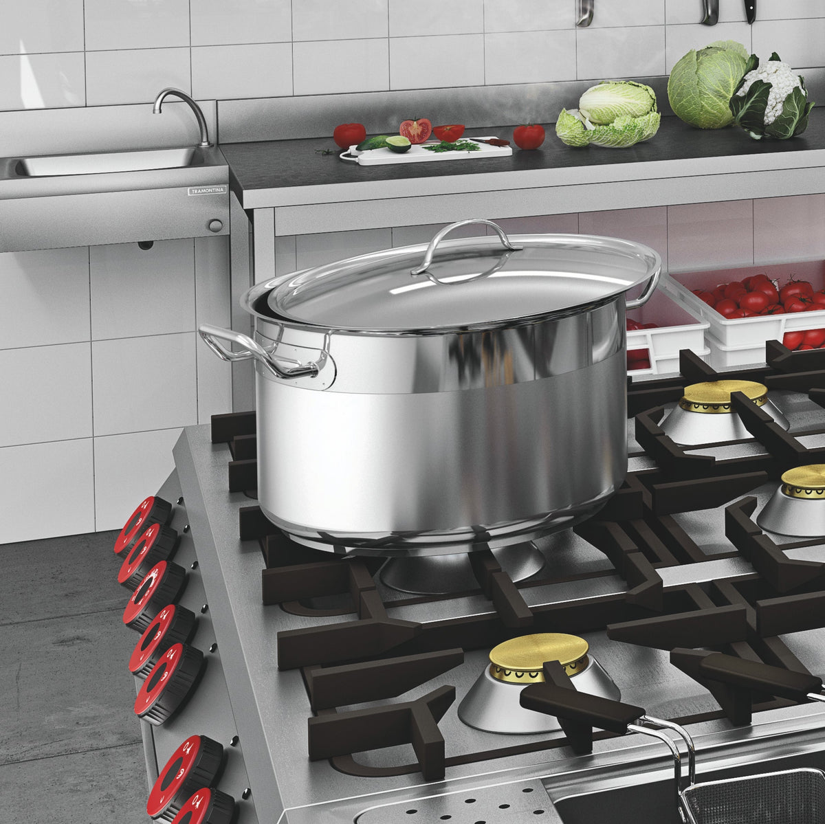 Professional Lid Stainless Steel 500x67mm