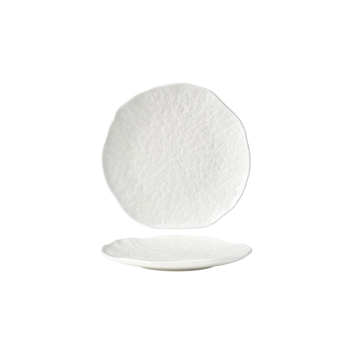 902100 Tablekraft Fusion Lotus Coupe Plate 203mm White Tomkin Australia Hospitality Supplies