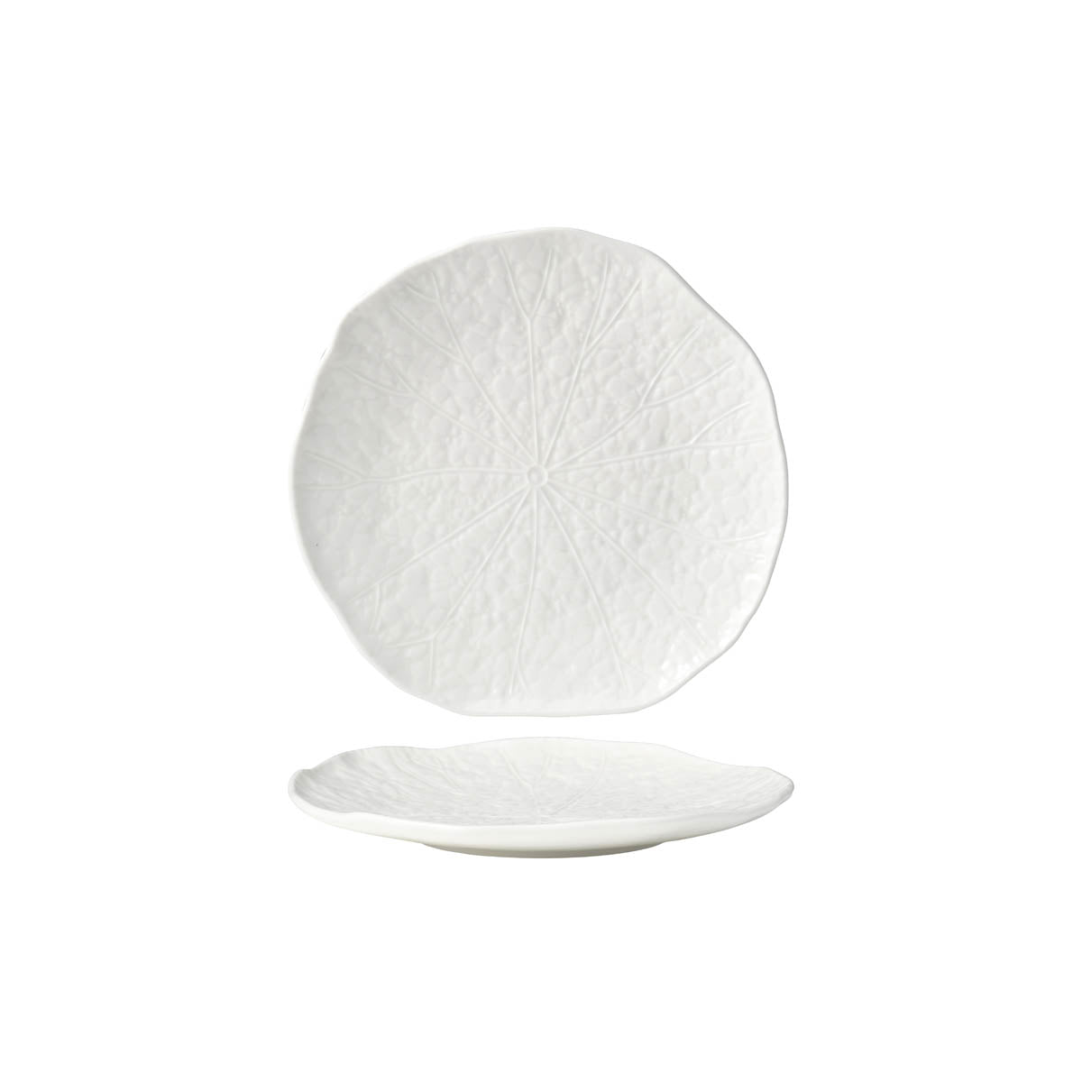 902101 Tablekraft Fusion Lotus Coupe Plate 255mm White Tomkin Australia Hospitality Supplies
