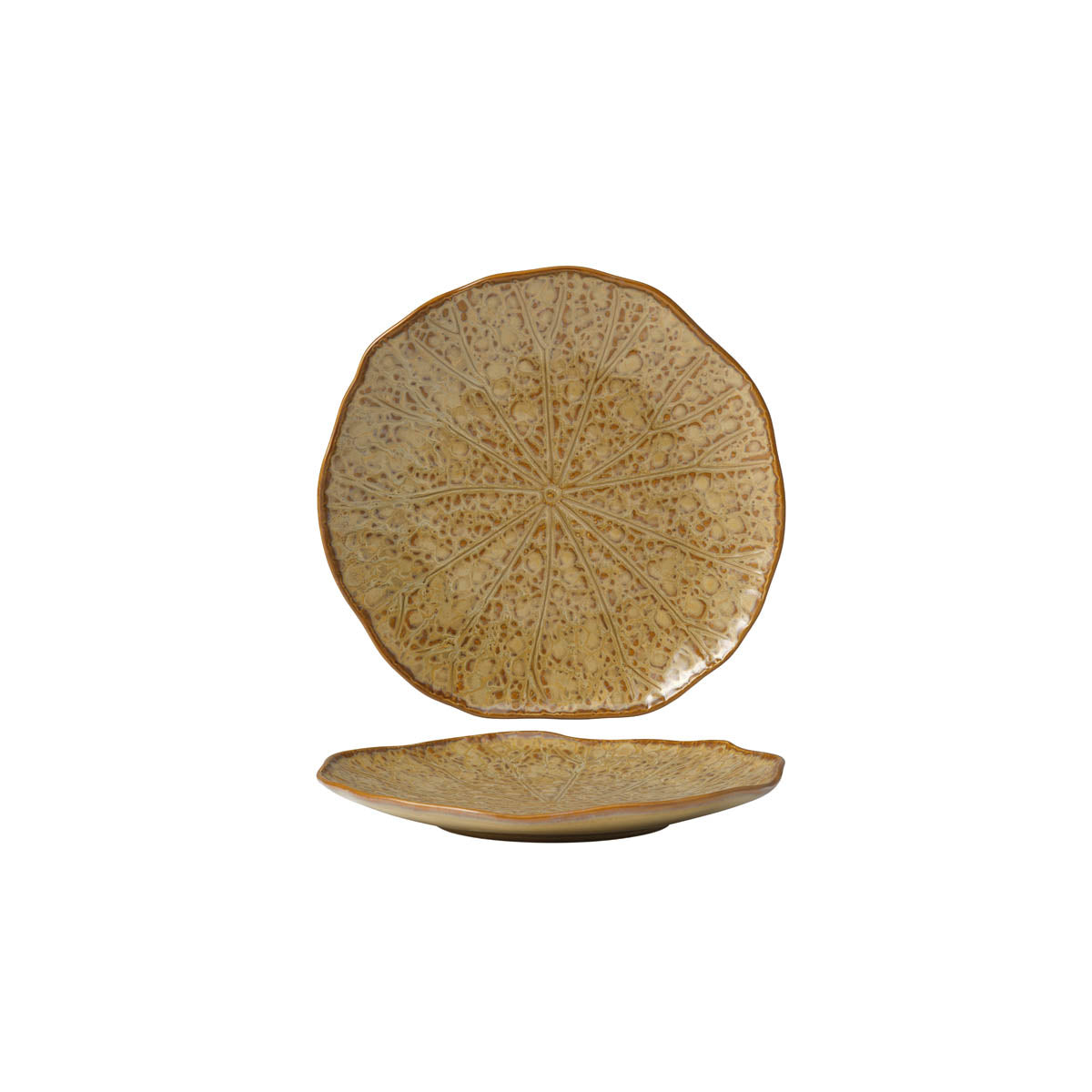 902110 Tablekraft Fusion Lotus Coupe Plate 203mm Cinnamon Tomkin Australia Hospitality Supplies