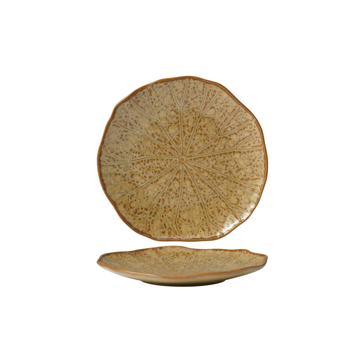 Fusion Lotus Coupe Plate 255mm Cinnamon