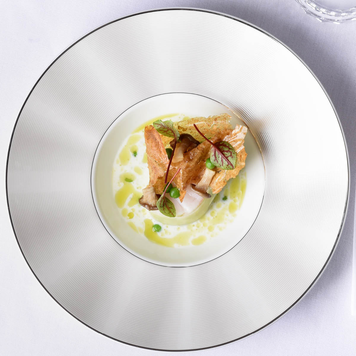 11733-1005 Nikko Japan Silk Platinum Round Plate Wide Rim 150mm Tomkin Australia Hospitality Supplies