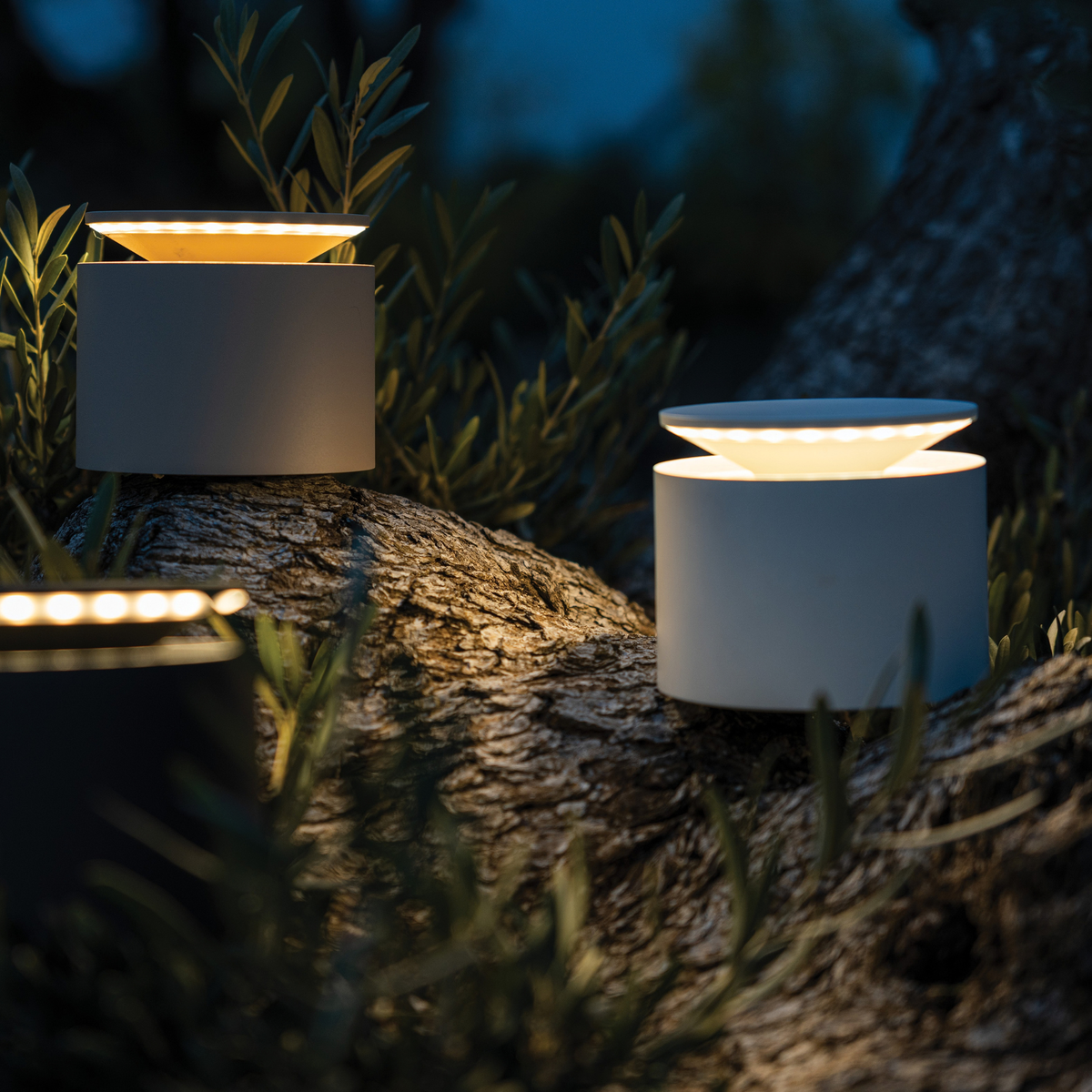 Push-Up Pro Sandy Sand LED Table Lamp
