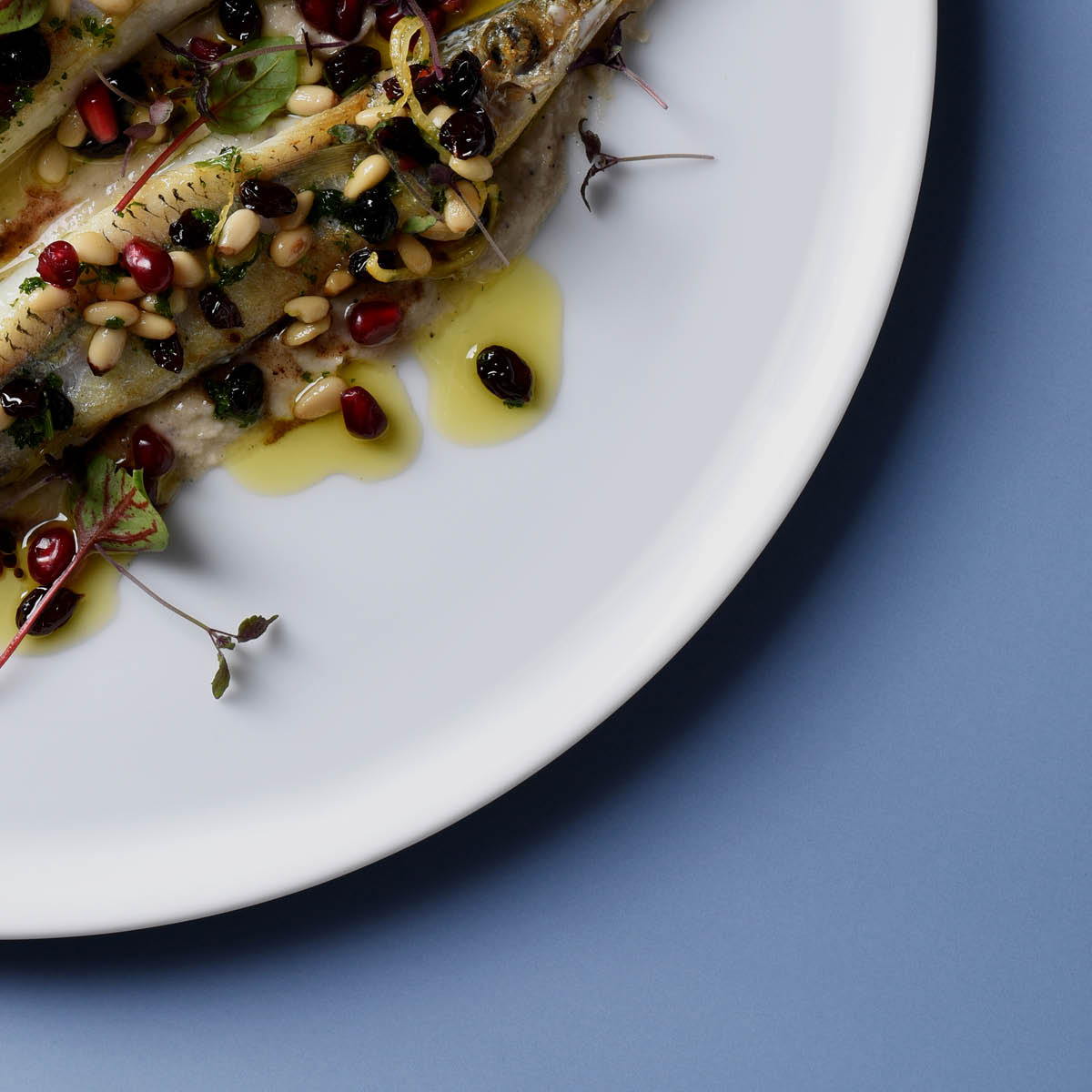 White Album Round Flared Coupe Plate 285mm