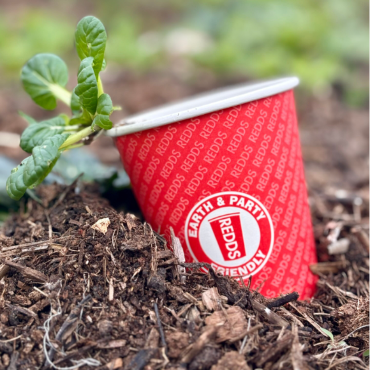 Redds Paper Cup Pong Pack With w. Ping Pong Balls 425ml