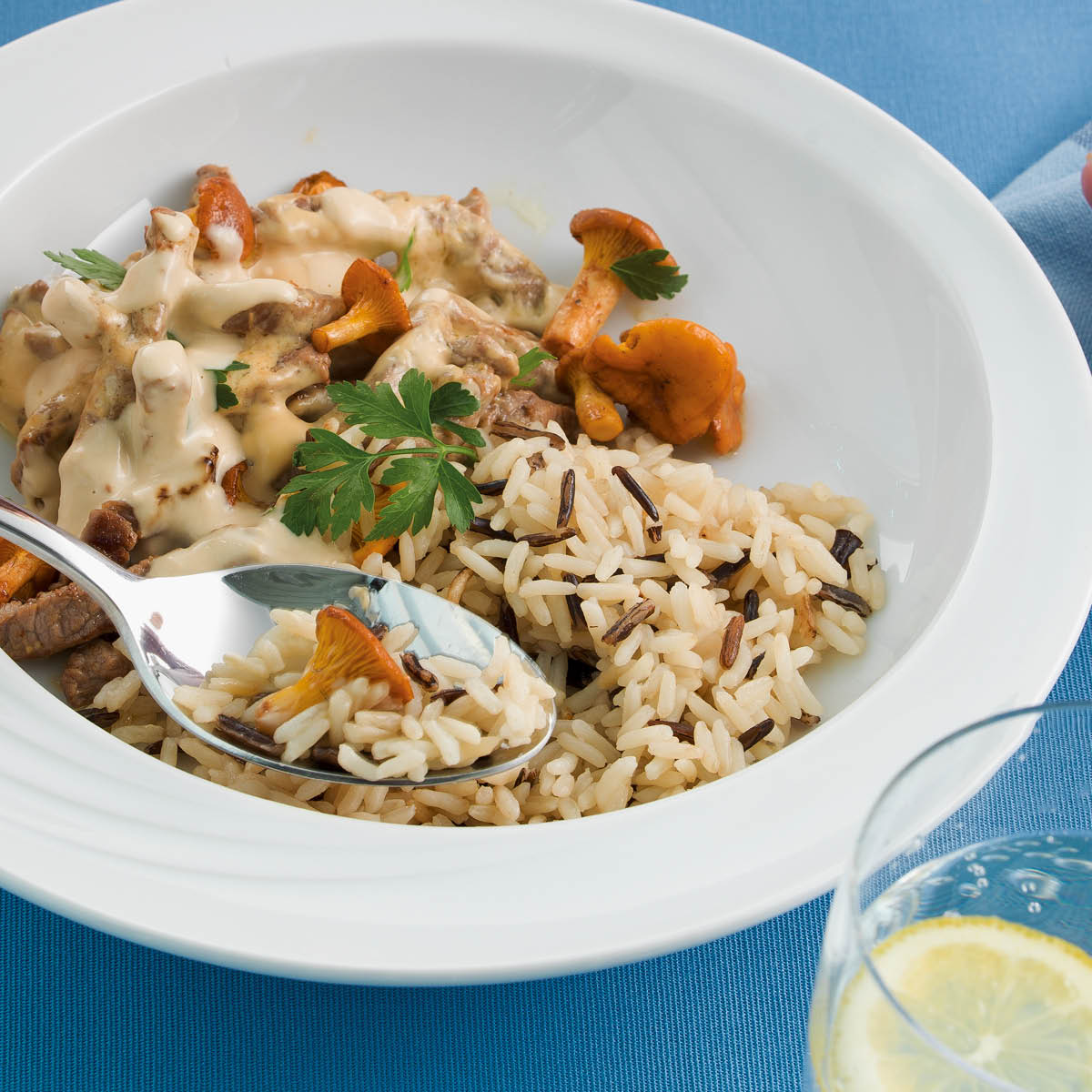 SH9181822/62961 Donna Senior Decor Round Comfort Coupe Plate with Medium Blue Wide Band 230mm Tomkin Australia Hospitality Supplies