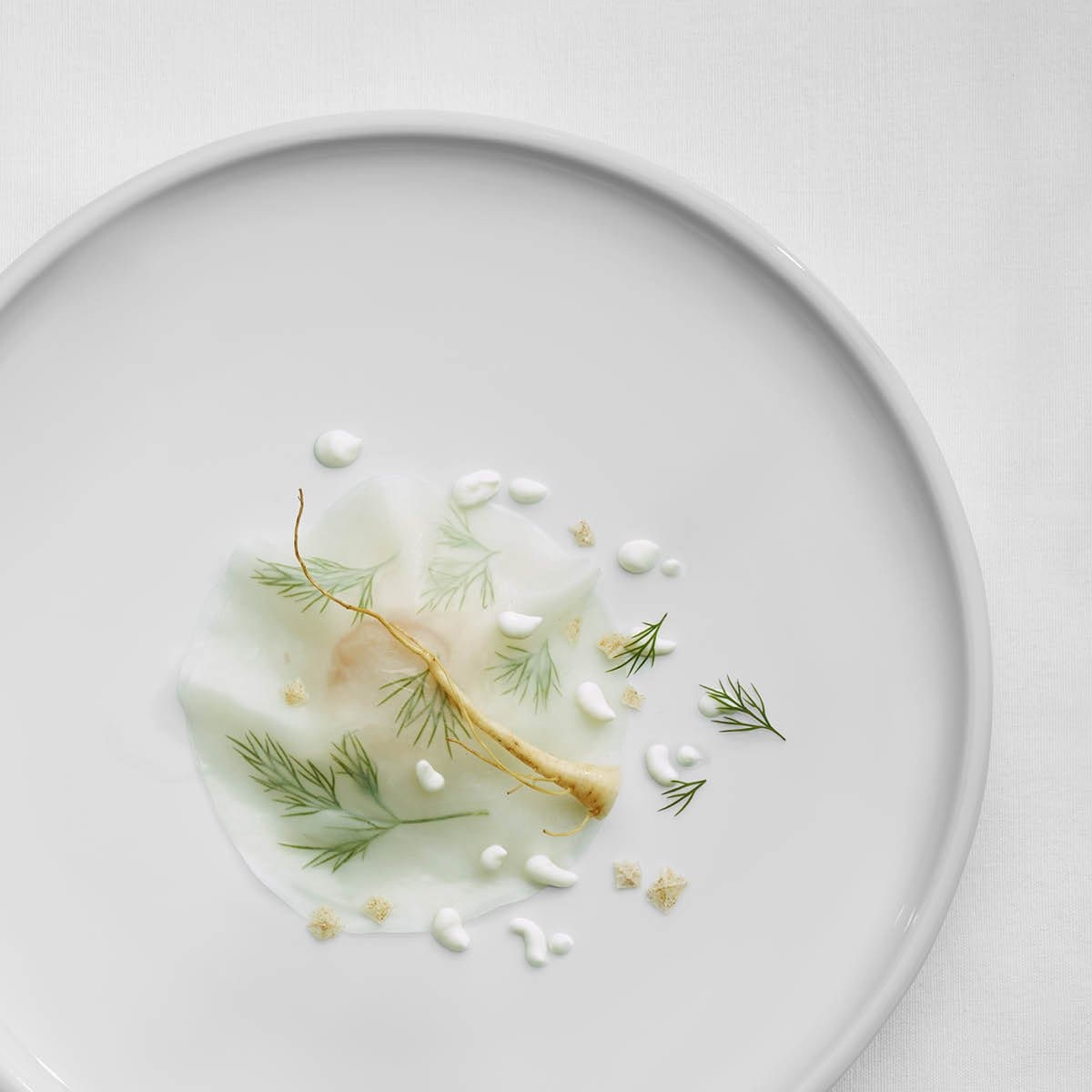 Shiro Oval Coupe Platter 235x360mm