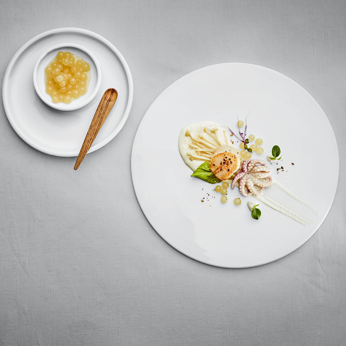 SH9251276 Schonwald Shiro Round Flat Coupe Plate Relief Design 260mm Tomkin Australia Hospitality Supplies