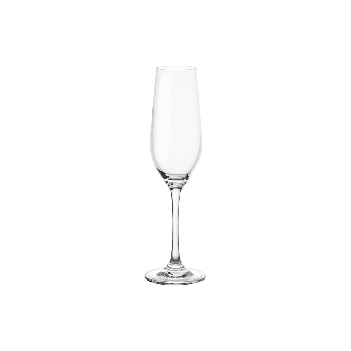 Tamar Champagne Flute 235ml