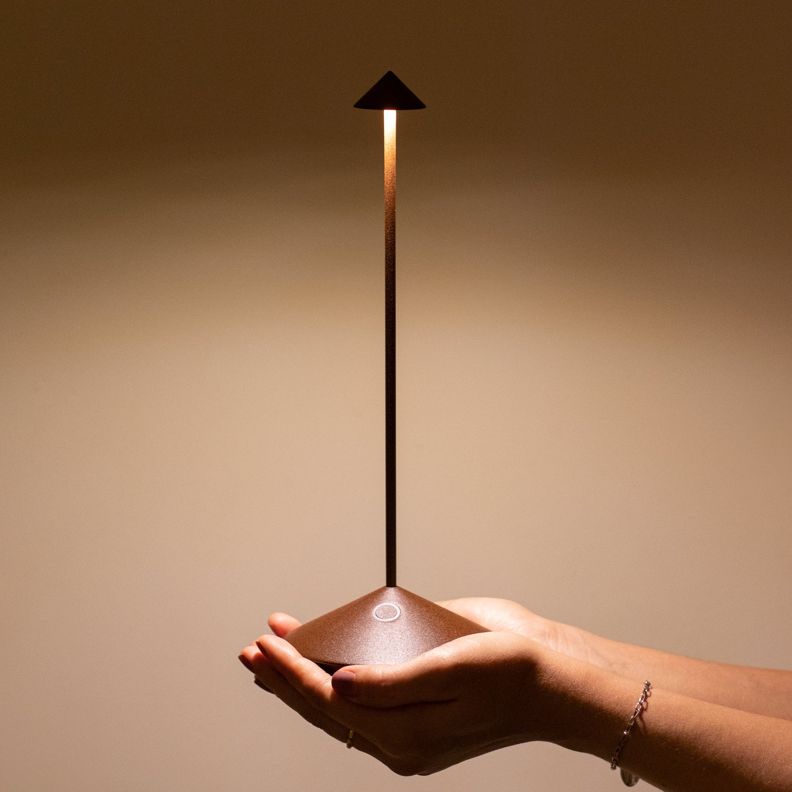 Pina Pro Painted Matt Rust LED Table Lamp