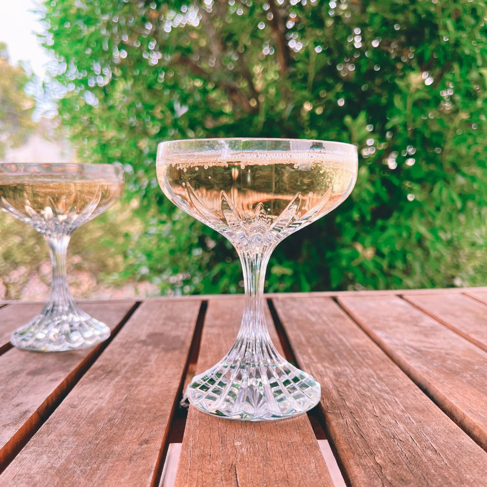 DSGJ5034-170 D-Still Celine Coupe Polycarbonate 170ml Tomkin Australia Hospitality Supplies