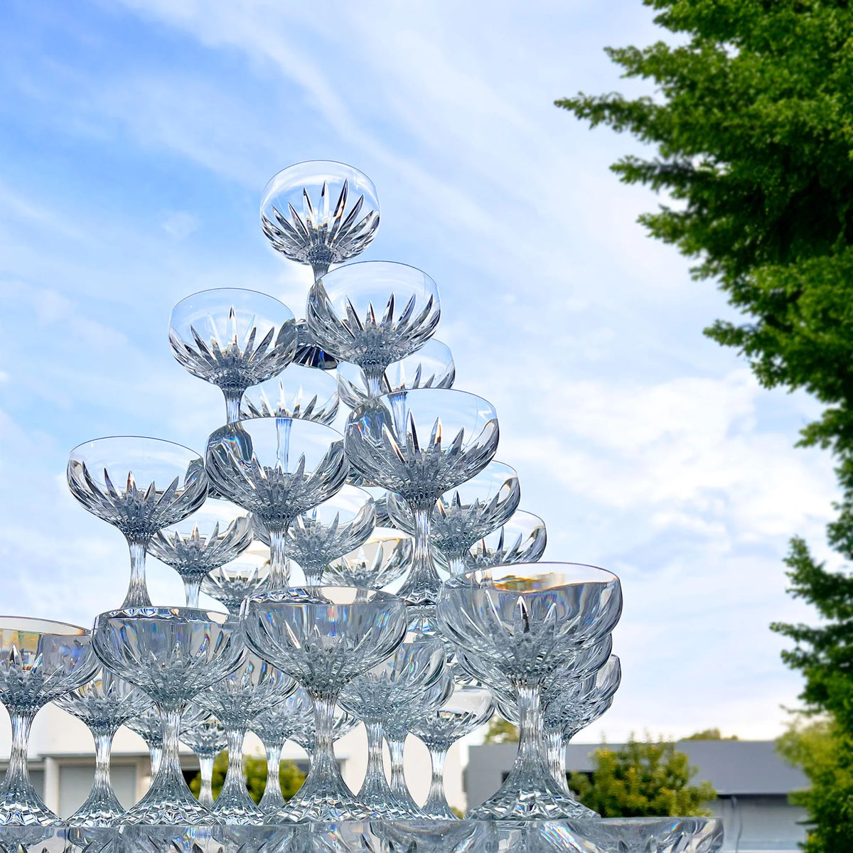 Celine Coupe Polycarbonate 170ml