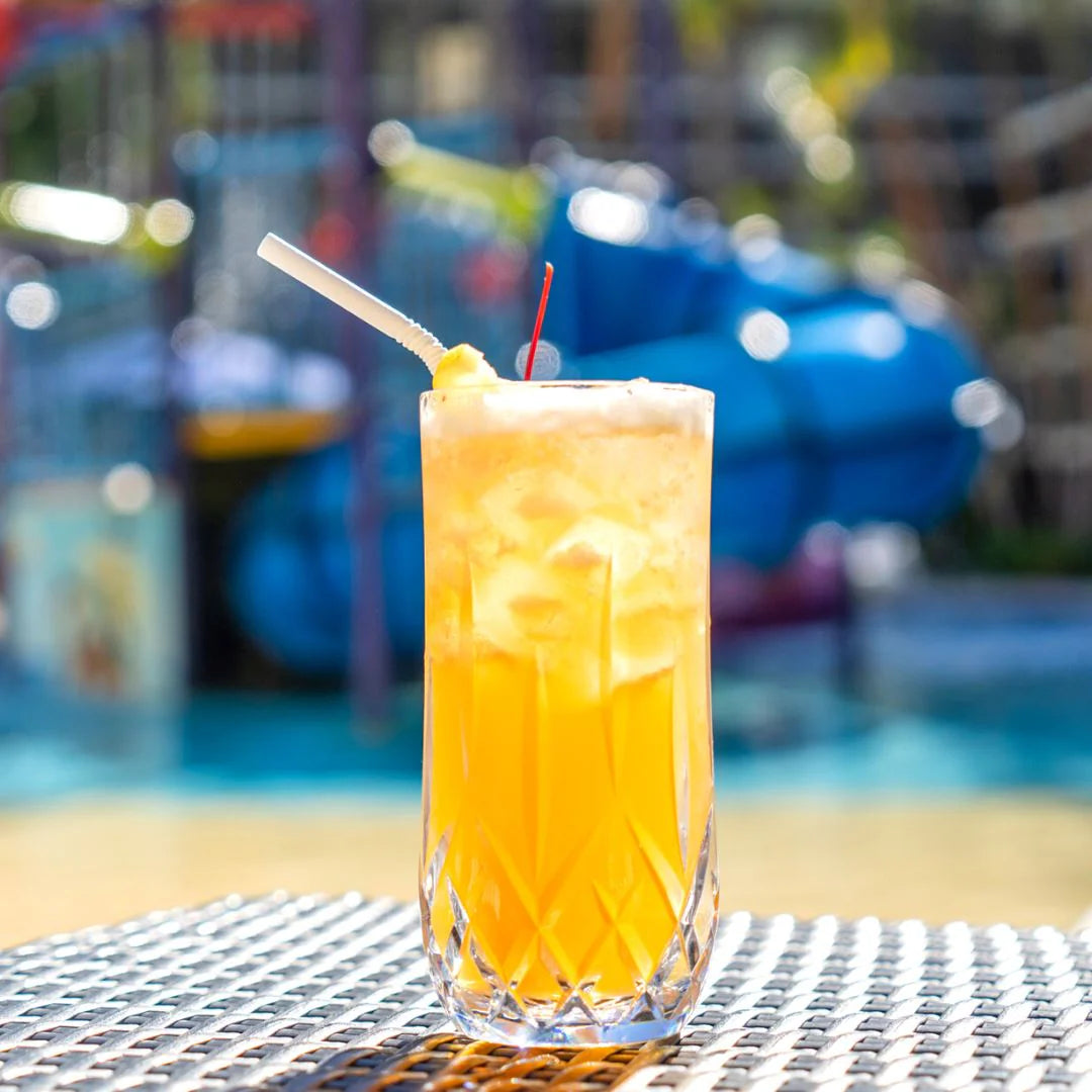 Cut Crystal Highball Polycarbonate 525ml