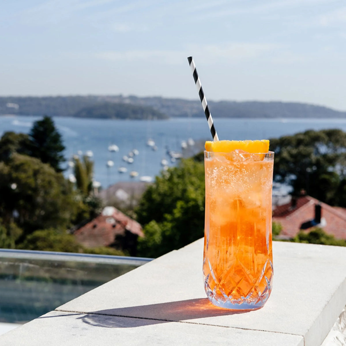 Cut Crystal Highball Polycarbonate 525ml