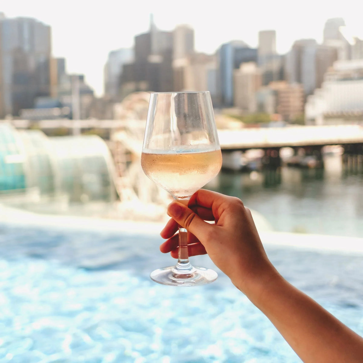 Sip Easy Hybrid Wine Polycarbonate 285ml