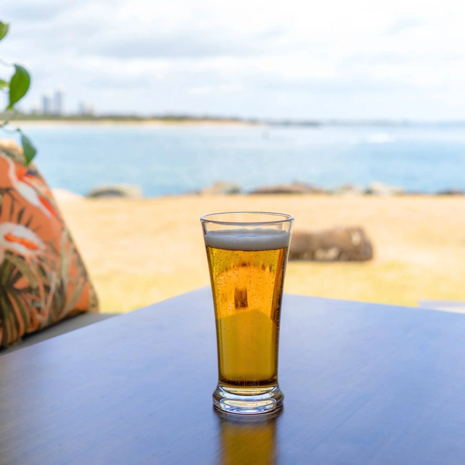 DSS085 D-Still Essentials Pilsner Polycarbonate 430ml Tomkin Australia Hospitality Supplies