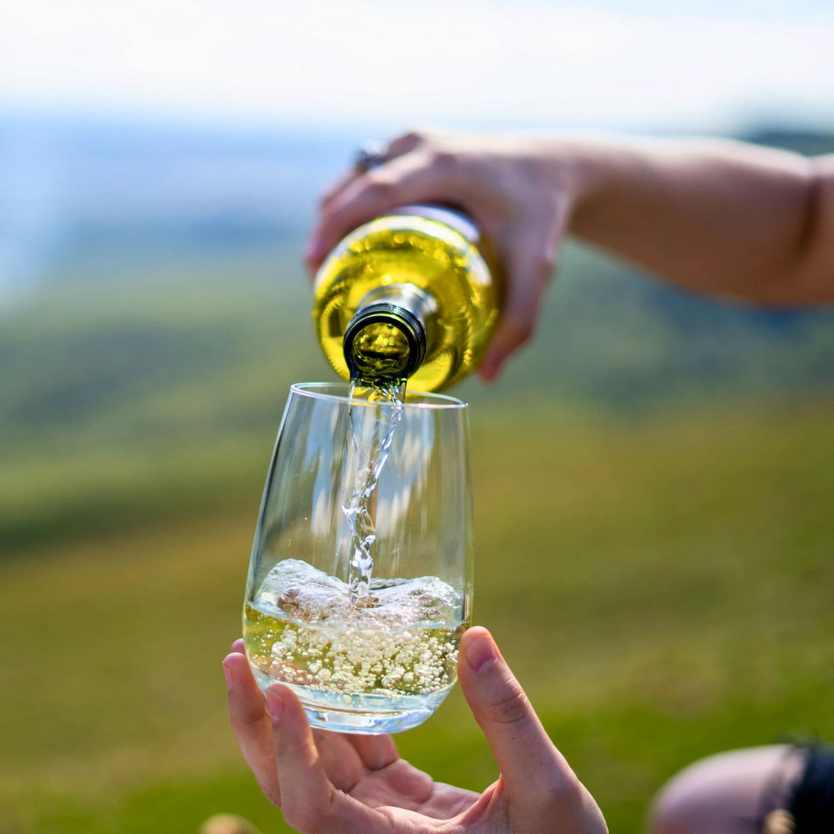 Essentials Stemless Wine Polycarbonate 350ml