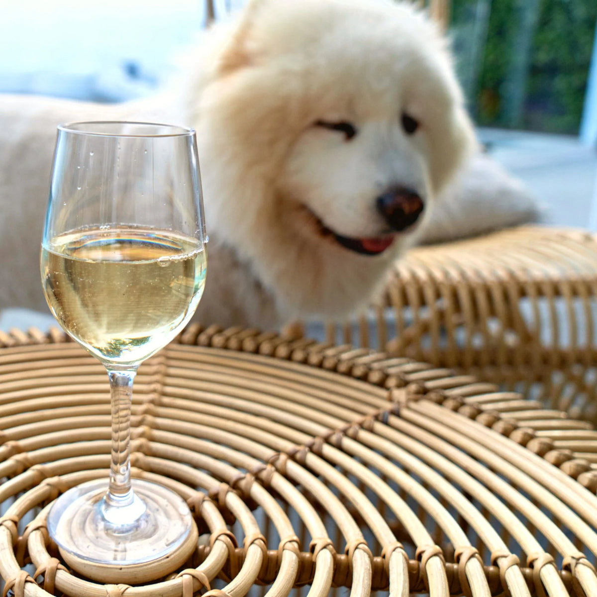 Essentials White Wine Polycarbonate 315ml