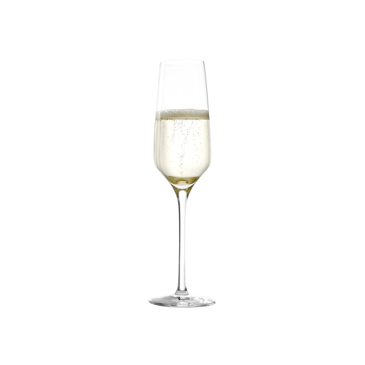 360-970 Stolzle Experience Champagne Flute 190ml Tomkin Australia Hospitality Supplies