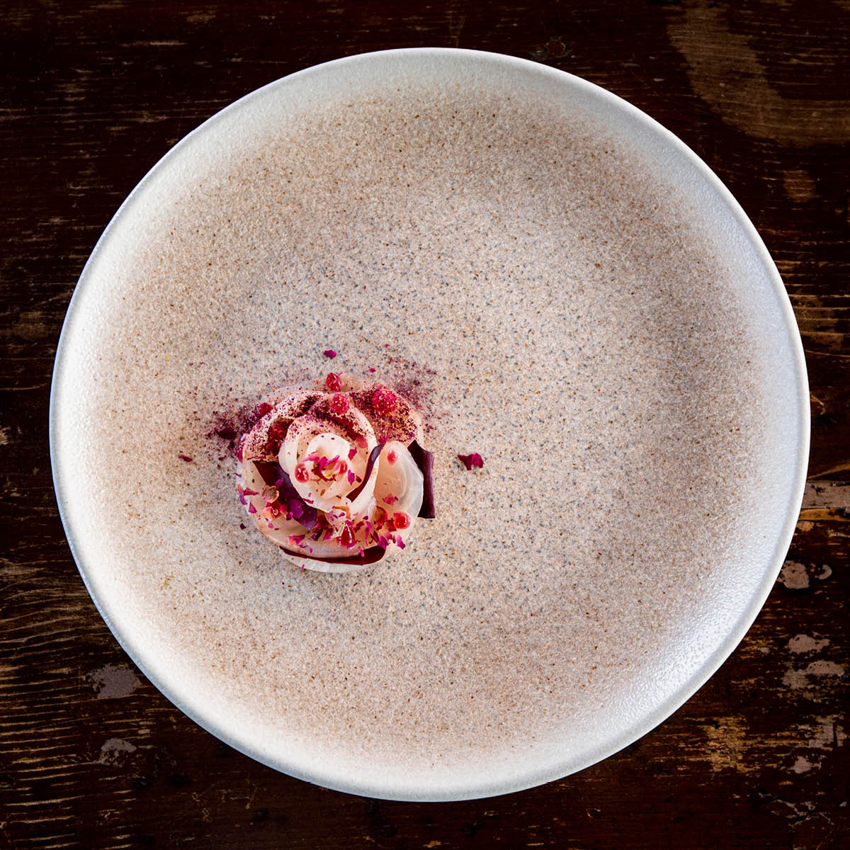 Luca Salmon Round Coupe Plate 270mm