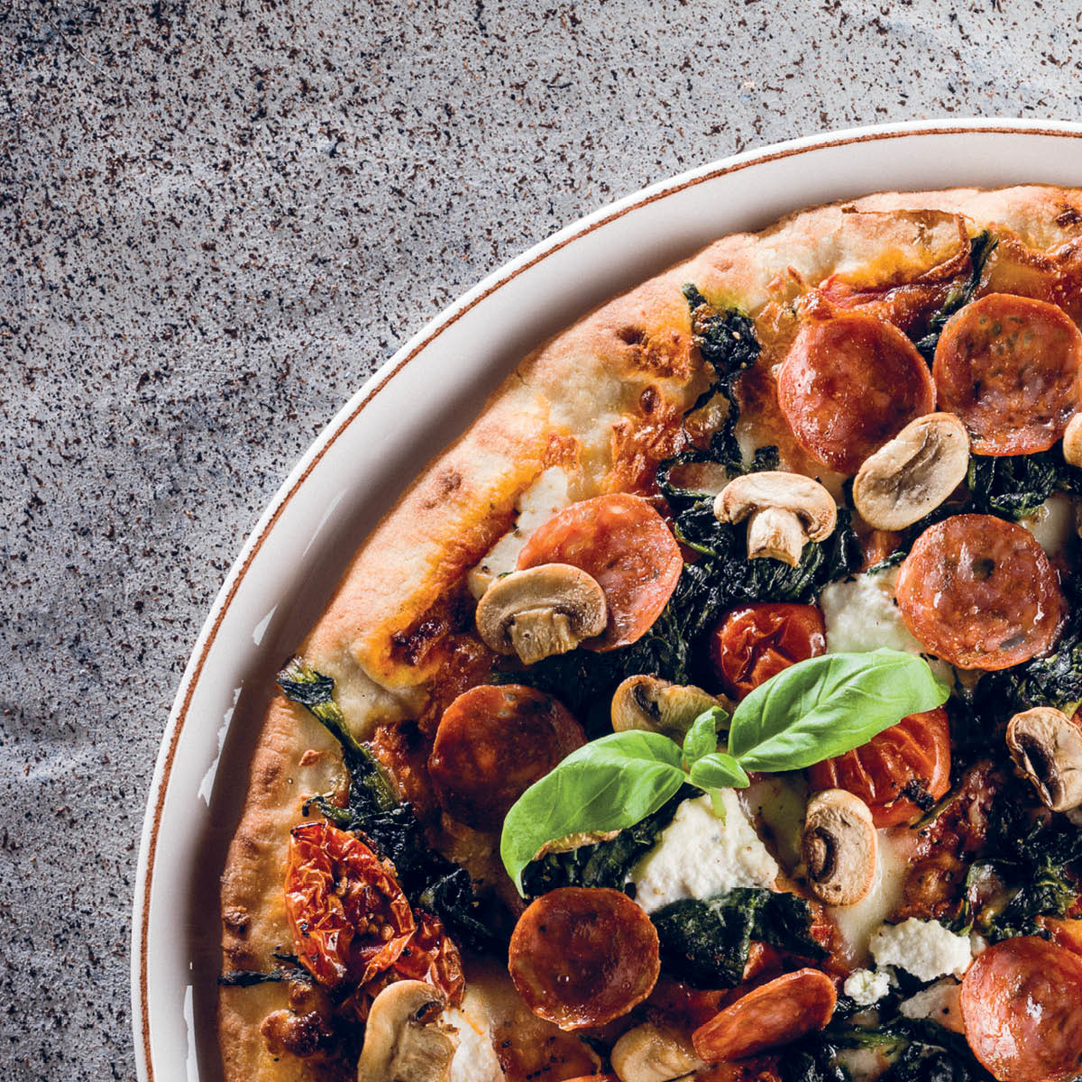 Retro Round Coupe Plate 230mm