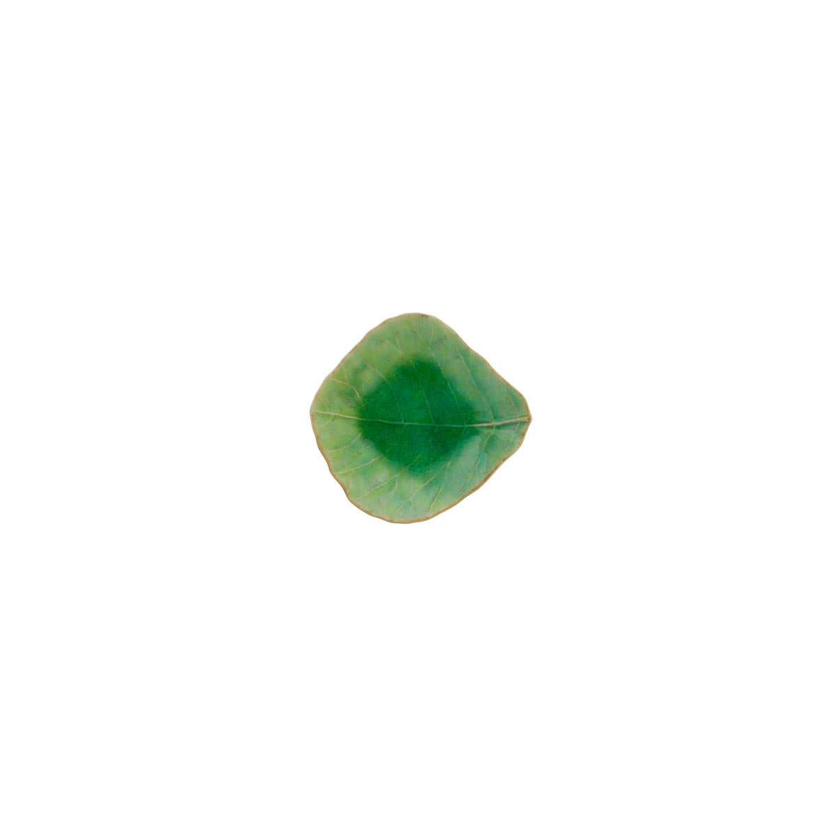 301517 Costa Nova Riviera Vert Frais Round Plate 271mm Tomkin Australia Hospitality Supplies