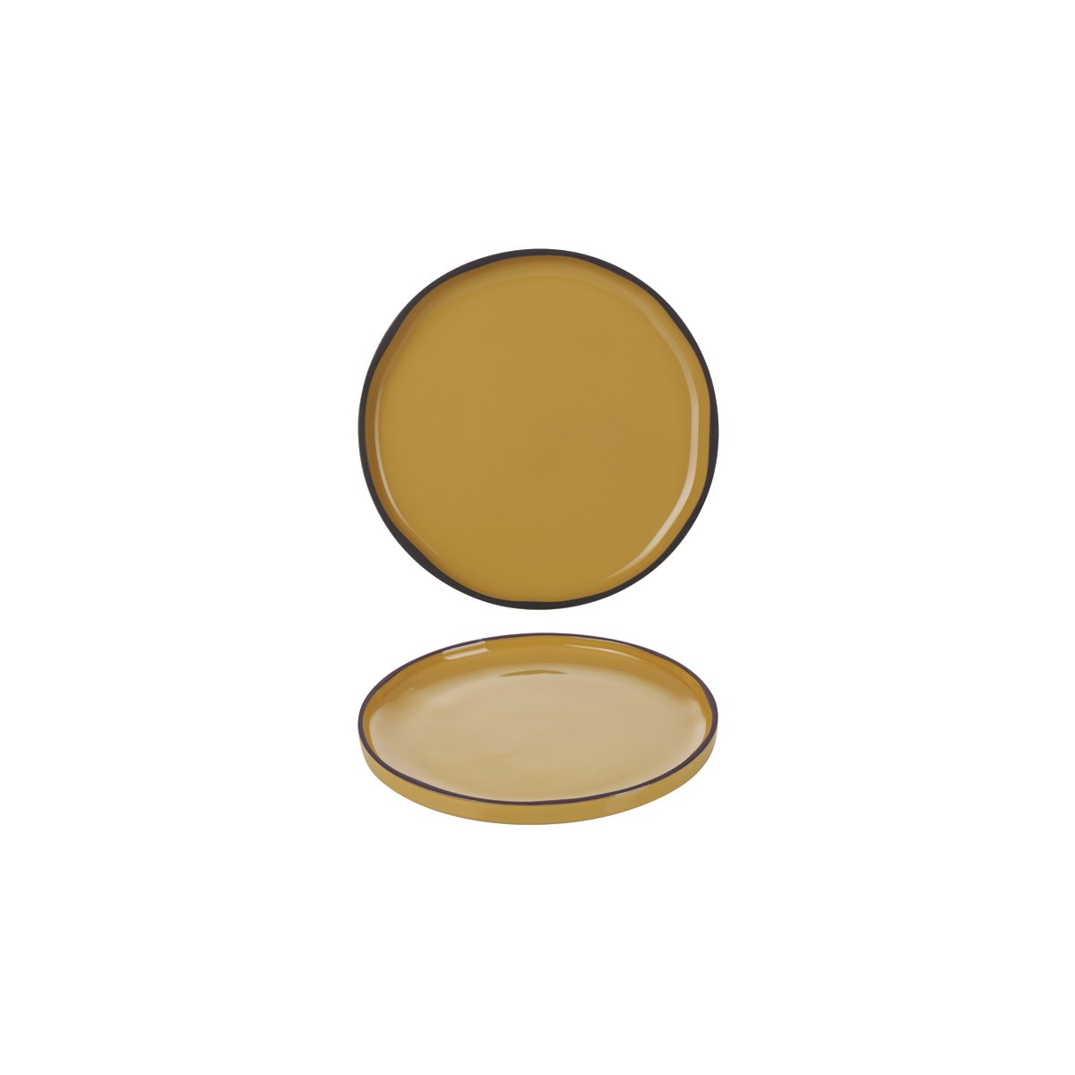 RV652803 Revol Caractere Tumeric Round Plate 210mm Tomkin Australia Hospitality Supplies
