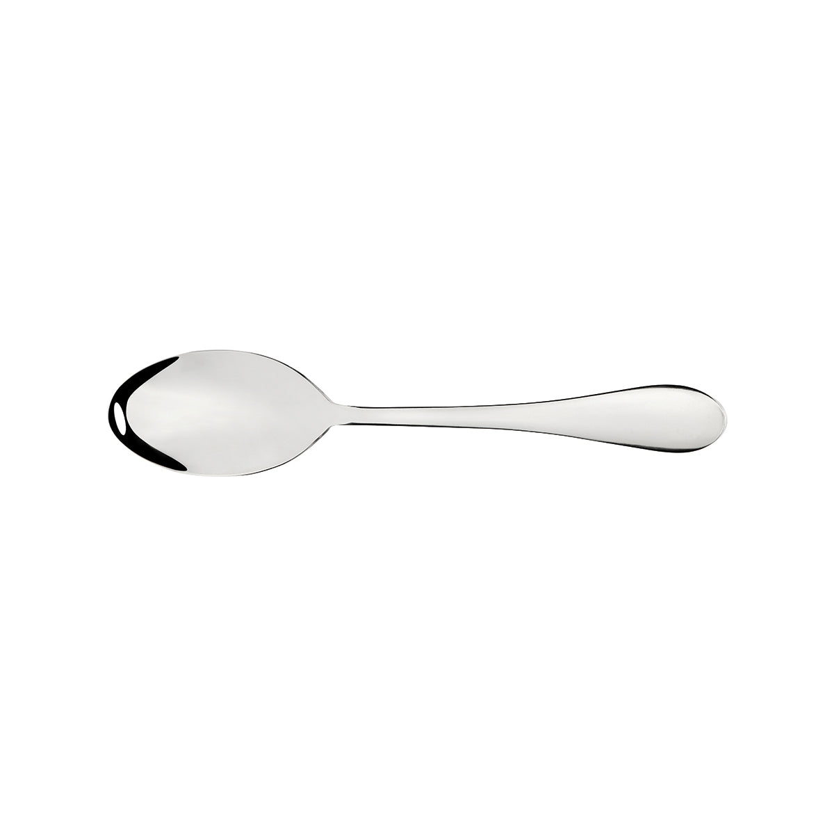 Albany Salad Spoon