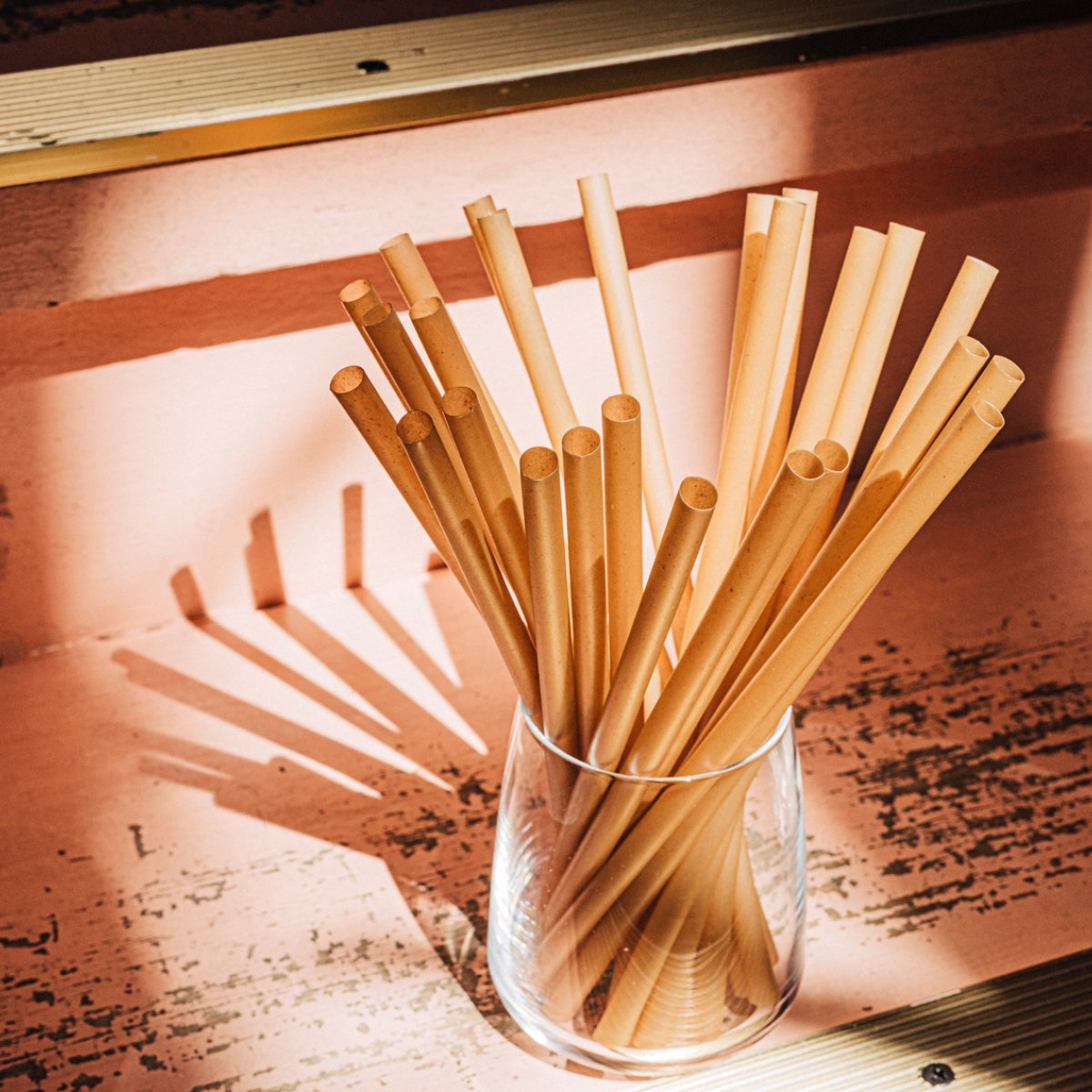 Sugarcane with PLA Regular Straw 8x200mm (300/Box)