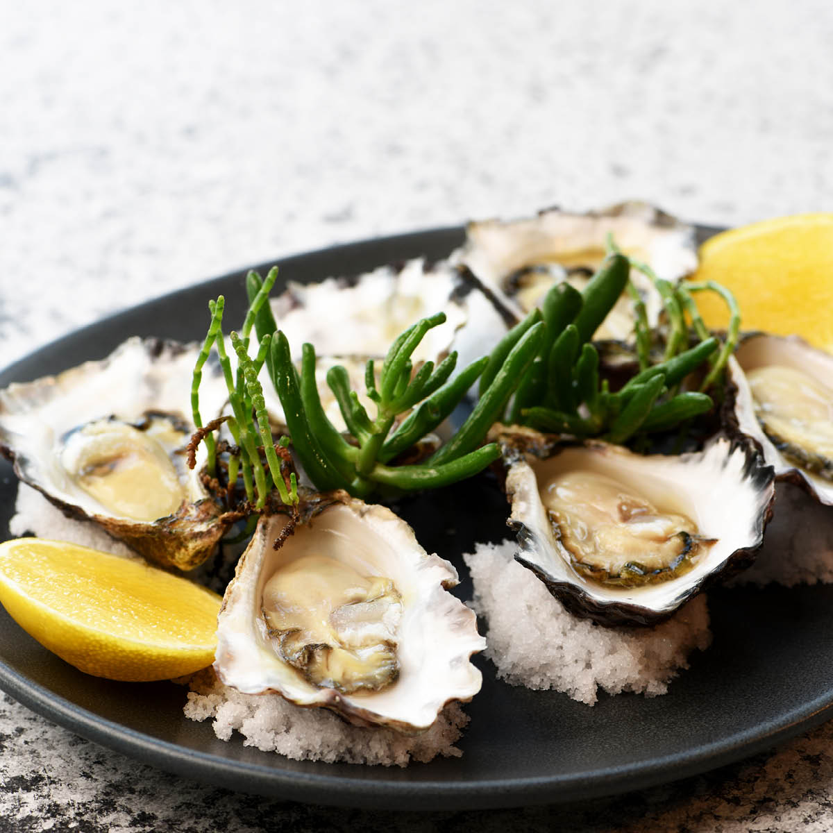 Artistica Slate Oval Plate 295x250mm