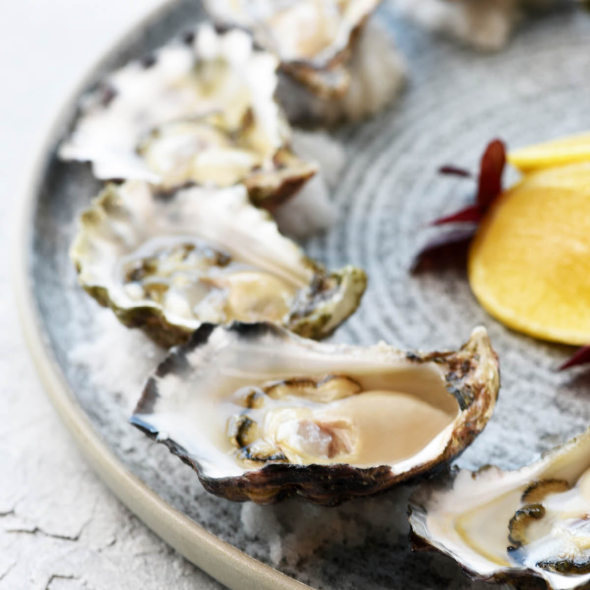 Soho Effect Round Plate 257mm