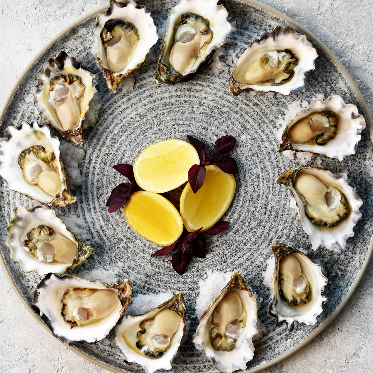 Soho Effect Round Plate 257mm