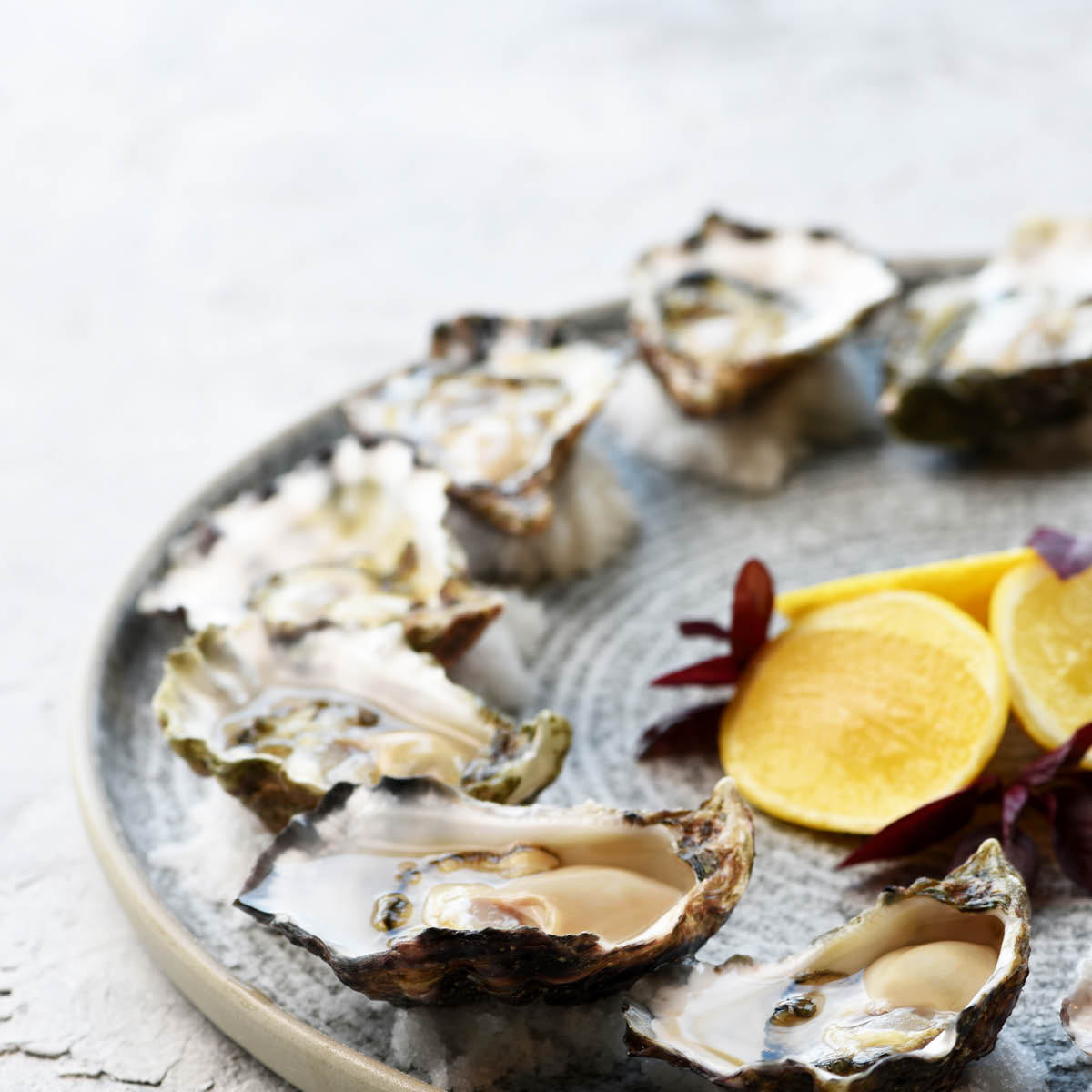 Soho Effect Round Platter 330mm